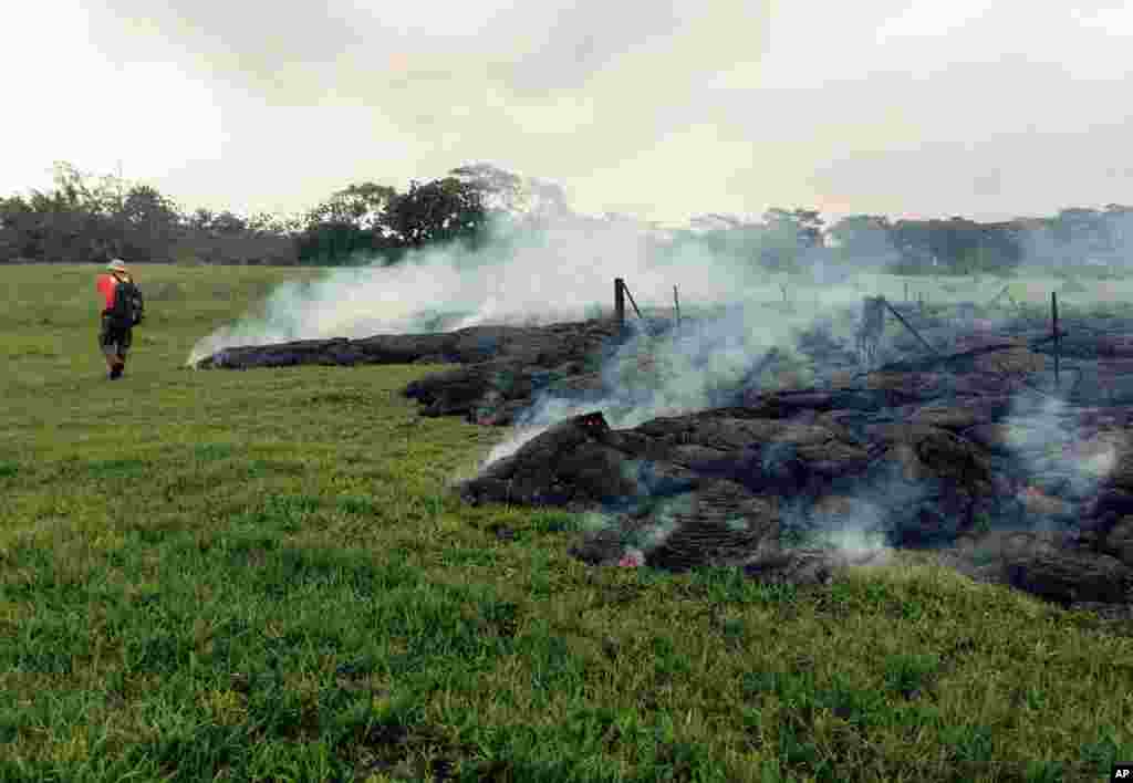 This photo provided by the U.S. Geological Survey shows a Hawaii Volcano Observatory geologist mapping the margin of the June 27 lava flow in an open field below Cemetery Road near the town of Pahoa on the Big Island of Hawaii, Oct. 26, 2014.