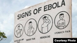 Một biển thông báo các triệu chứng của Ebola (từ trái sang): Đau cơ và khớp, Đau họng, Đau đầu, Đau bụng. (Ảnh: AGI)