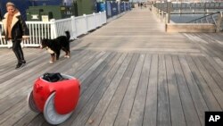 A pedestrian and her dog walk along a boardwalk near the Gita cargo-carrying robot on Monday, Nov. 11, 2019, in Boston. A subsidiary of Italian automaker Piaggio designed the machine to follow its owner lugging groceries and other items. (AP Photo / Matt O'Brien)