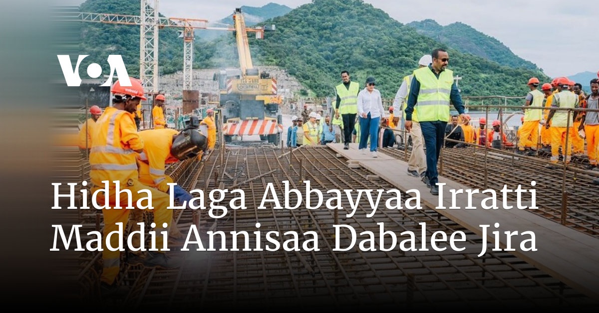 Hidha Laga Abbayyaa Irratti Maddii Annisaa Dabalee Jira