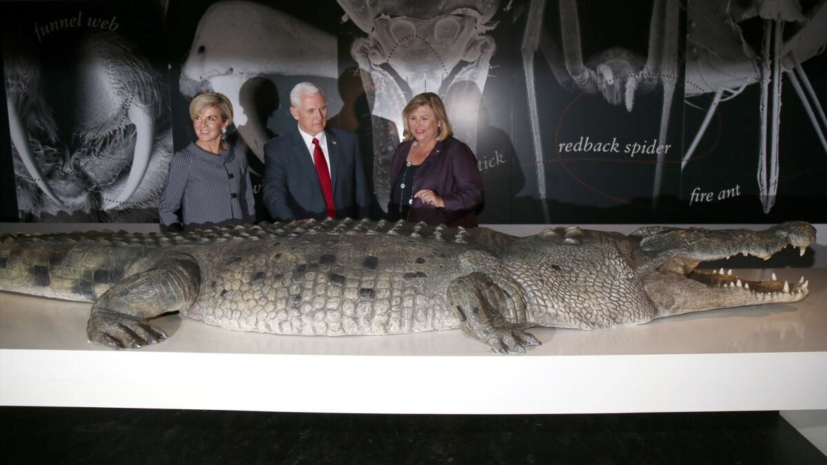 Crocodile Industry Hopes to Boost Australia Aboriginal Communities