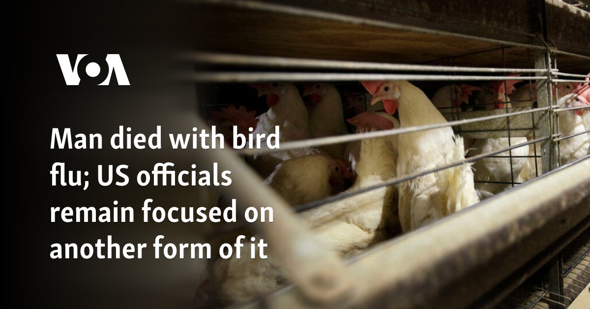 Man died with bird flu; US officials remain focused on another form of it