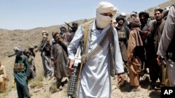 طالبان با بی میلی به مذاکرات صلح، حملات شان را تشدید بخشیده اند