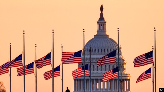 Lowered to half-staff in honor of former Senate Majority Leader Bob Dole of Kansas, flags fly in the breeze at sunrise on the National Mall with the U.S. Capitol in the background, Dec. 6, 2021.