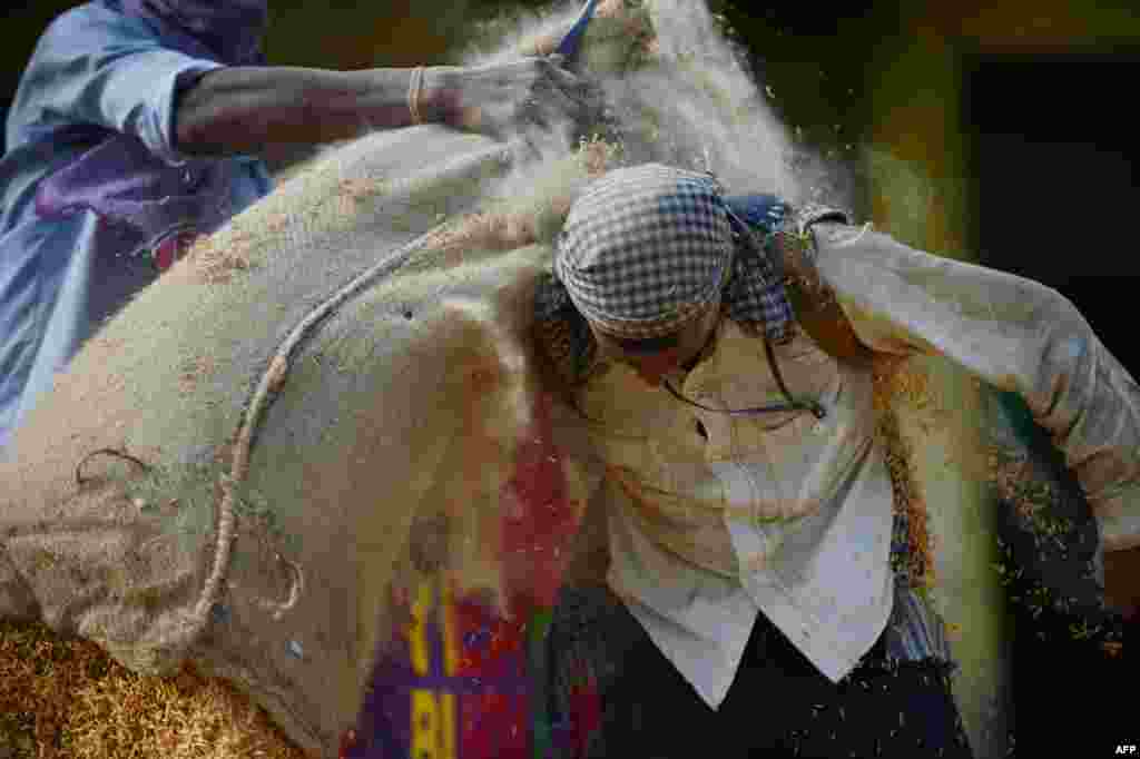 An Indian day laborer struggles to unload a 60 kg bag of rice at a grains depot near New Delhi.