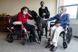 Sal Markowitz, 96, right, and Sandra Greer, 82, left, visits with Marley, a Great Dane, while therapeutic activities director Catherine Farrell looks on at The Hebrew Home at Riverdale in New York, Wednesday, Dec. 9, 2020. AP Photo/Seth Wenig)