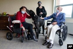 Sal Markowitz, 96, right, and Sandra Greer, 82, left, visits with Marley, a Great Dane, while therapeutic activities director Catherine Farrell looks on at The Hebrew Home at Riverdale in New York, Wednesday, Dec. 9, 2020. AP Photo/Seth Wenig)