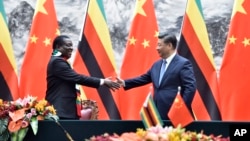 资料照片：津巴布韦总统埃默森·姆南加古瓦（左）与中国国家主席习近平（右）在人民大会堂握手。（2018年4月3日）