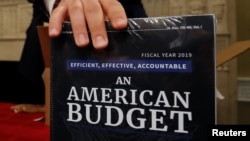 Copies of the President Trump's FY 2019 budget proposal are delivered to the U.S. House Budget Committee offices on Capitol Hill in Washington, Feb. 12, 2018. 