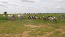 Matsugunin Fulani"Ruga" a Najeriya