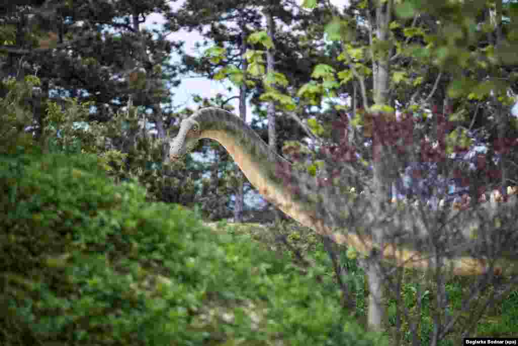 Réplica do dinossauro diplodocus exibida no Jardim Zoológico de Veszprem Zoo a 108 kms a sudoeste de Budapeste na Hungria.