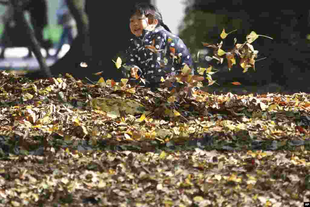 بازی کردن یک بچه در میان برگ های پائیزی در پارکی در توکیو