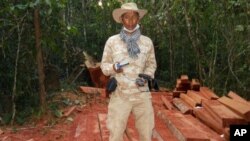 In this photo taken Feburary 6, 2012 and released by The Cambodian Center for Human Rights (CCHR), Chut Wutty stands on wooden planks of log in a jungle in Kampong Thom province in northern of Phnom Penh, Cambodia.