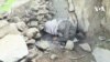 ادعای ضد و نقیض معتادان و مسوولان شهر مزار شریف در مورد خاک‌سپاری اجساد معتادان