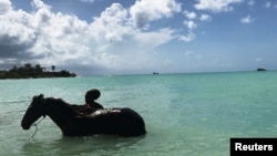 A man is seen in silhouette bathing a horse in Dickenson Bay a month after Hurricane Irma struck the Caribbean island near St. Johns, Antigua and Barbuda, Oct. 6, 2017.