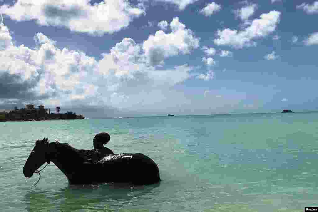 A man is seen bathing a horse in Dickenson Bay, on the northwestern coast in Antigua, a month after Hurricane Irma struck the Caribbean island near St. Johns, Antigua and Barbuda.