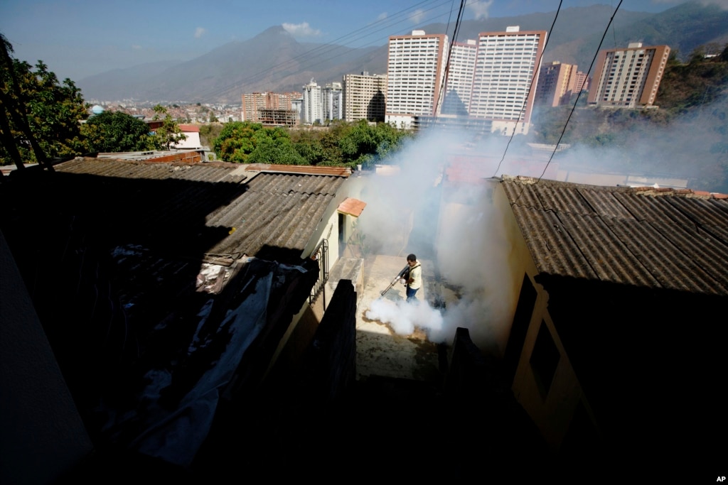 Doctors Tie Zika Virus to Heart Problems in Some Adults