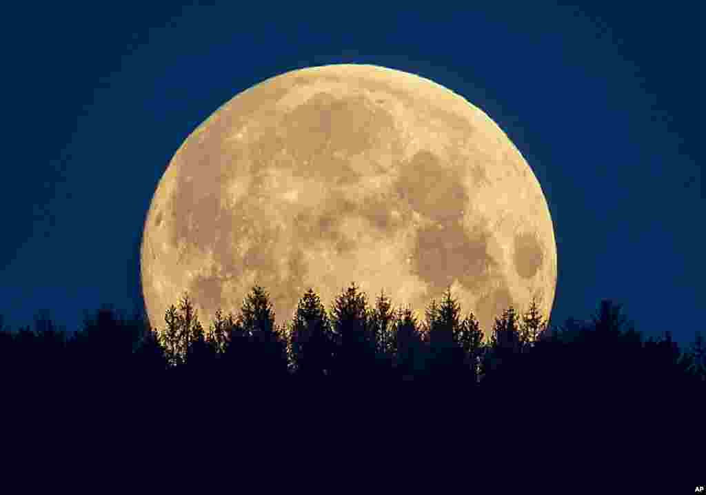 The full moon sets behind trees in the Taunus region near Frankfurt, Germany.