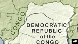 Rights Group Says Rebels Killed 321 Villagers in DRC