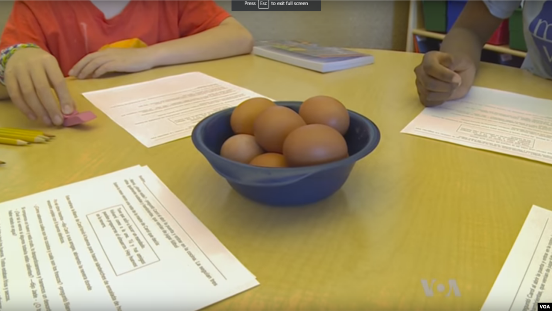 "The Eggcellent Idea", one of 65 mysteries in the series