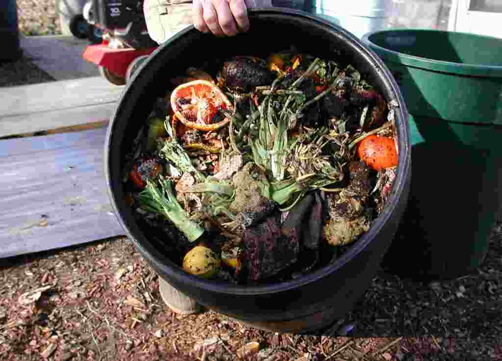 Todos los desechos orgánicos se llevan semanalmente a alimentar el proceso de creación de compostaje.
