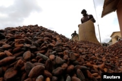 FILE - Men pour out cocoa beans to dry in Niable, at the border between Ivory Coast and Ghana, June 19, 2014. Africa primarily exports raw materials, including cocoa and other agricultural products.
