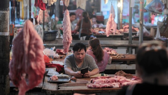 焦点对话：猪肉价格飙升，中共领导层为何焦虑？
