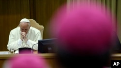 Папа Франциск на синоді єпископів присвяченому родині