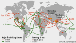 Human Trafficking Map