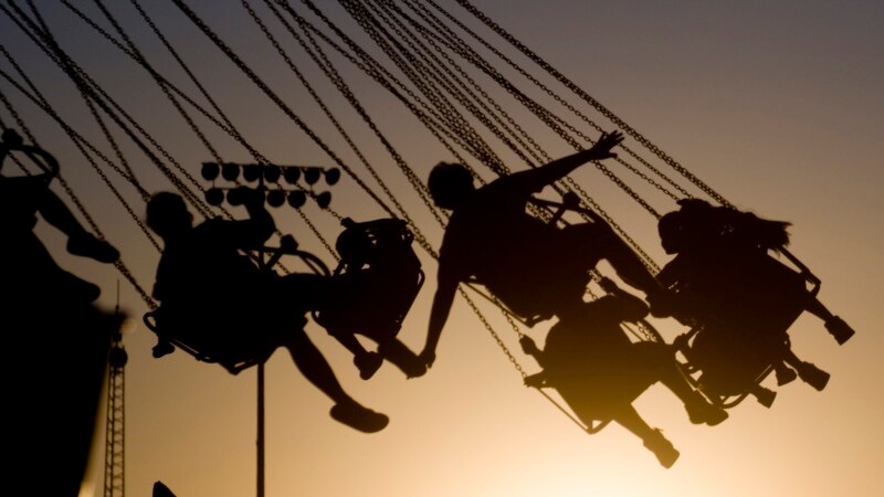 Obesity and Brain Development: Is There a Link?