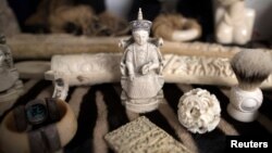 FILE - Ivory carvings seized by the U.K. Border Force at Heathrow Airport sit on display at Custom House near Heathrow in London, Britain, Nov. 22, 2017. 