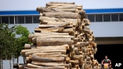 资料照片：中国云南边境瑞丽地区一个家具工厂堆放的缅甸进口木材（2012年5月12日）