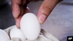 امریکہ میں کروڑوں انڈوں کو مارکیٹ سے ہٹانے کا اعلان