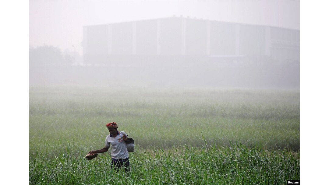 A worker walks through a farm on a smoggy morning in Mumbai, India, Dec. 11, 2017.