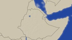 የወላይታ ተወላጆች በሶዶ ሰላማዊ ሰልፍ አደረጉ