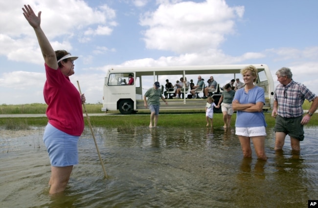 Tour guide Shirley McBride, left, urges tourists into the waters of Everglades National Park, Fla., during a tram ride stop Oct. 31, 2003.