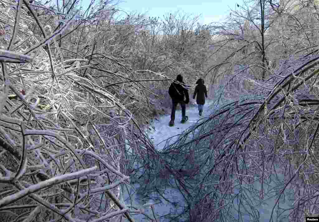 People walk through the ice encrusted forest in Earl Bales Park following an ice storm in Toronto, Canada, Dec. 24, 2013. 