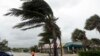 在飓风马修到来之前，佛州维罗海滩的棕榈树被风吹歪（2016年10月6日）