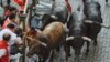 اسپین میں بیل دوڑ مقابلوں کے مستقبل پر بحث چھڑ گئی