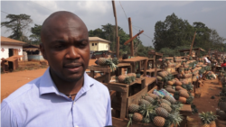 Bernard Ngoumou, ingénieur en sécurité sanitaire et conformité des aliments à Nkolmeyang, Cameroun, le 24 mars 2020. (VOA/Emmanuel Jules Ntap).