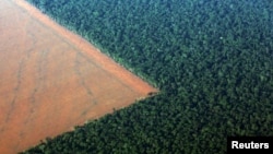 FILE - The Amazon rainforest (R), bordered by deforested land prepared for the planting of soybeans, is pictured in this aerial photo taken over Mato Grosso state in western Brazil, Oct. 4, 2015. 