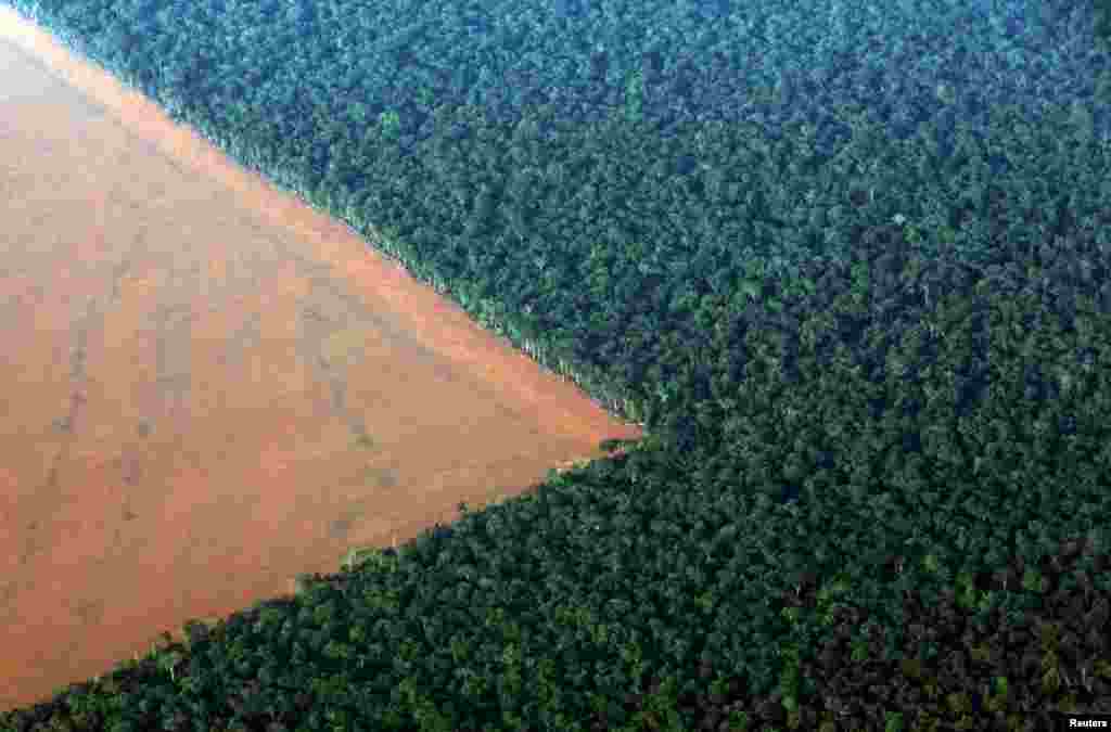 The Amazon rain forest (R), bordered by deforested land prepared for the planting of soybeans in&nbsp; Mato Grosso state in western Brazil