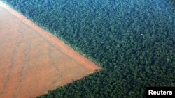 The Amazon rain forest (R), bordered by deforested land prepared for the planting of soybeans, is pictured in this aerial photo taken over Mato Grosso state in western Brazil, October 4, 2015. 