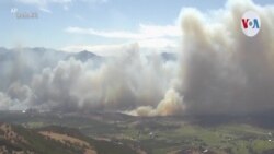 Incendios forestales causan víctimas y destrucción