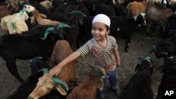 Seorang anak muslim menuntun kambing yang akan dijadikan hewan kurban di Hyderabad, India (25/10). Hari raya kurban merupakan media sebagai solidaritas sesama manusia.