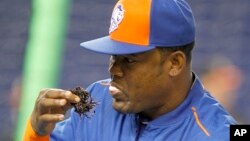 FILE - In this Sept. 5, 2015, file photo, New York Mets third baseman Juan Uribe uses chewing tobacco during batting practice before the Mets played against the Miami Marlins in a baseball game in Miami. Dusty Baker was a big dipper. 