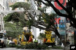 Workers remove branches from a tree on Mission Street in San Francisco, Jan. 17, 2019. Heavy rain, snow and wind pummeled much of California Thursday, causing at least six deaths, leaving thousands without power and forcing wildfire victims to flee their homes under threat of flooding.