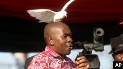 Mutungamiri weMDC, VaNelson Chamisa, vari kukurudzira kuti vana veZimbabwe vanamate pamwe nekutsanya kwemazuva manomwe.