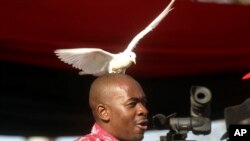 Mutungamiri weMDC, VaNelson Chamisa vanoti bato ravo ndere hutongi hwejekerere, nekudaro vanoda kuvakwikwidza vakasununguka.