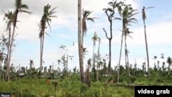 les Philippines après le passage du typhon Haiyan. 7 mars 2014.